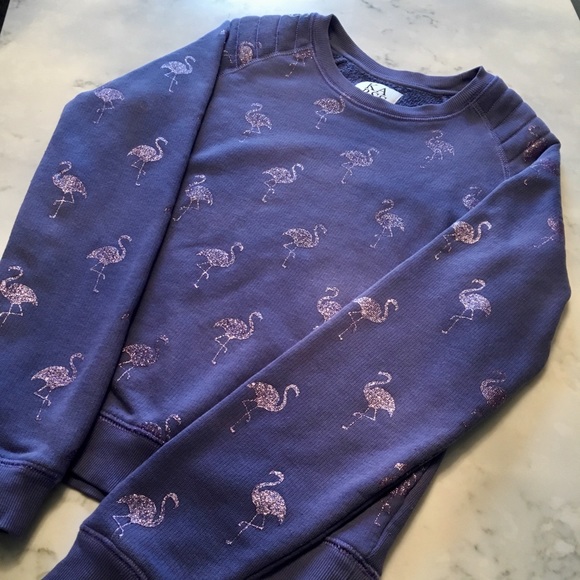 Zoe Karssen Tops - Zoe Karssen Glitter Flamingo Sweater